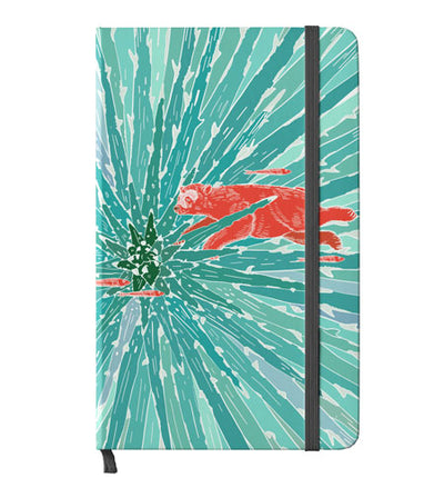 Oso de anteojos - Agenda 2026