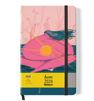 Centro solar - Agenda 2026